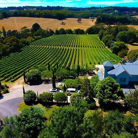 Отель Morning Sun Vineyard Mornington Peninsula Экстерьер фото