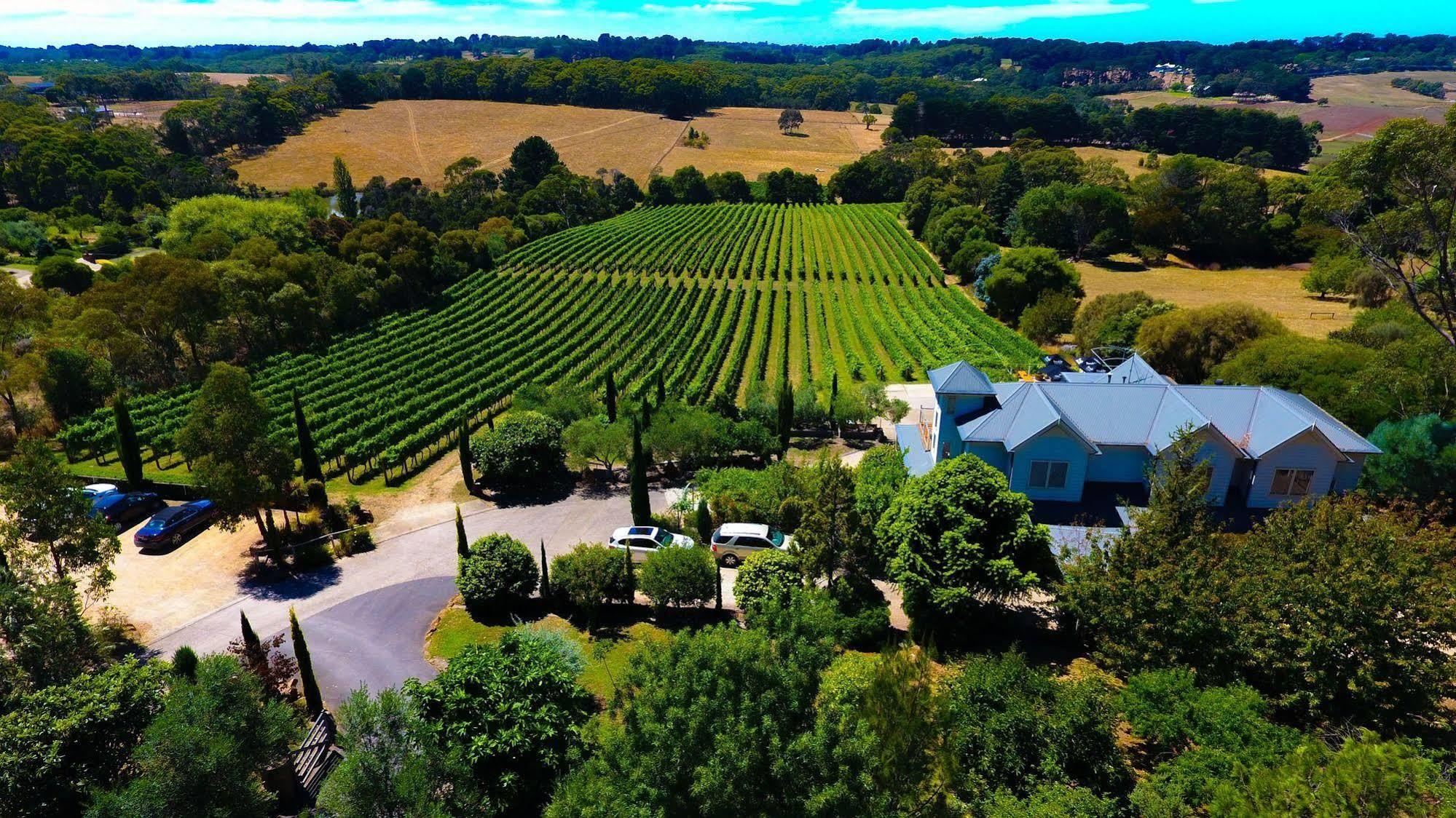 Отель Morning Sun Vineyard Mornington Peninsula Экстерьер фото
